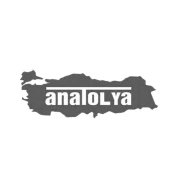 Anatolya Otomotiv
